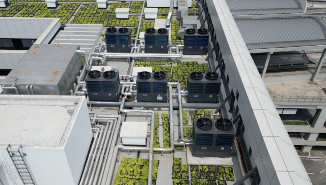 BETWAY·必威(西汉姆联)官方网站-West Ham United