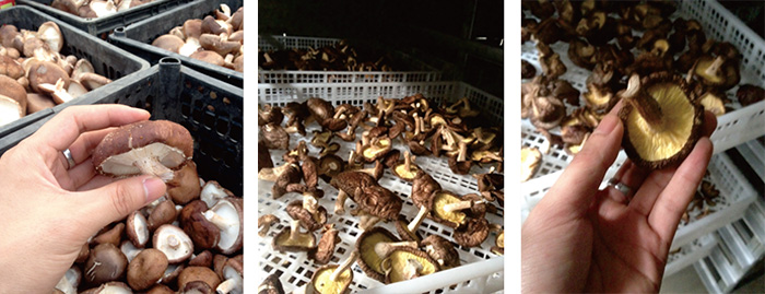 BETWAY·必威(西汉姆联)官方网站-West Ham United