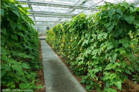 BETWAY·必威(西汉姆联)官方网站-West Ham United